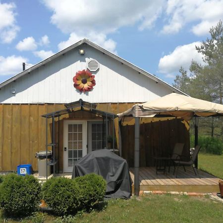 Dreamers Writing Farm, 3 Wooded Acres, Hepworth Sauble Beach Exterior photo