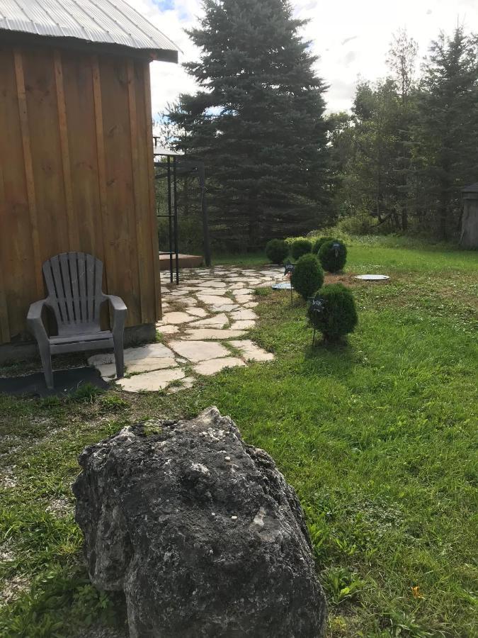 Dreamers Writing Farm, 3 Wooded Acres, Hepworth Sauble Beach Exterior photo