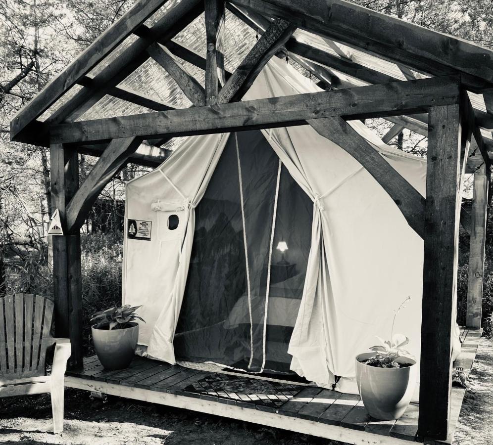 Dreamers Writing Farm, 3 Wooded Acres, Hepworth Sauble Beach Exterior photo