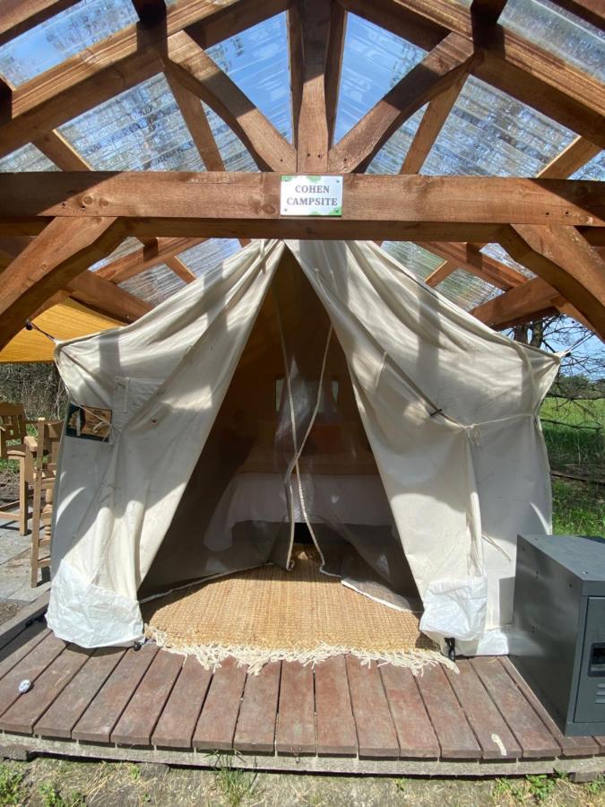 Dreamers Writing Farm, 3 Wooded Acres, Hepworth Sauble Beach Exterior photo
