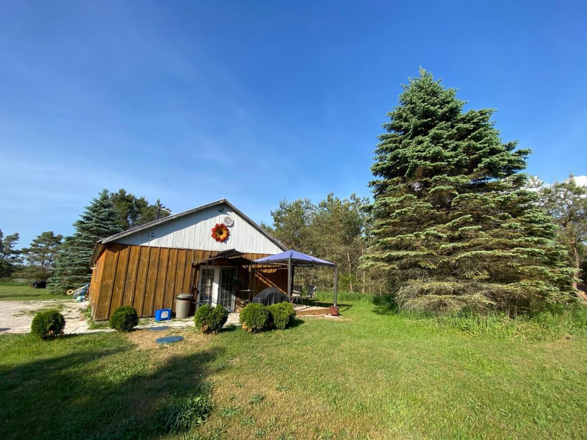 Dreamers Writing Farm, 3 Wooded Acres, Hepworth Sauble Beach Exterior photo