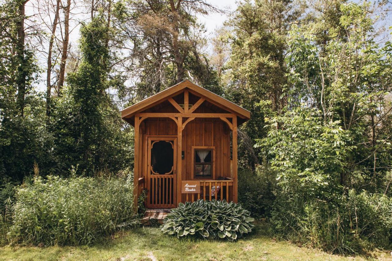 Dreamers Writing Farm, 3 Wooded Acres, Hepworth Sauble Beach Exterior photo